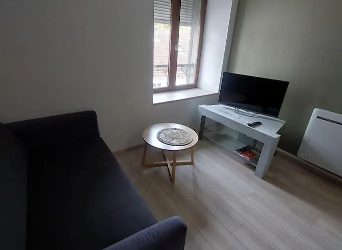 Appartement Renove Centre Ville